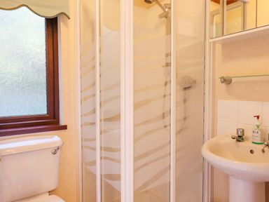 A bathroom with a toilet a shower cubicle and a sink with a soap dispenser at Dartmoor Retreat Lodge in Clifford Bridge near Moretonhampstead
