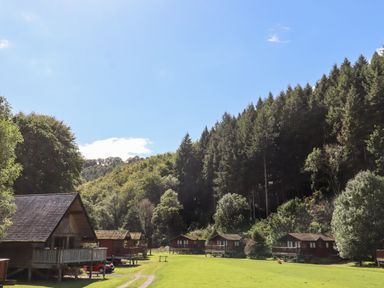A group of wooden cabins on grassy land near trees and forest at Dartmoor Retreat Lodge in Clifford Bridge near Moretonhampstead