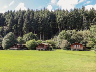 Three wooden lodges on raised platforms with a grassy field in front and tall trees in the background at Dartmoor Retreat Lodge Clifford Bridge near Moretonhampstead
