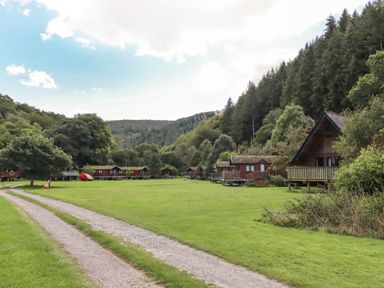A grassy area with a gravel path and wooden lodges surrounded by trees at Dartmoor Retreat Lodge in Clifford Bridge near Moretonhampstead
