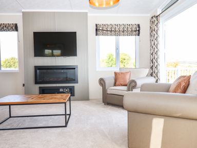 A living room with armchairs a coffee table a wall mounted TV and an electric fireplace at Chestnut Lodge in Teigngrace near Newton Abbot