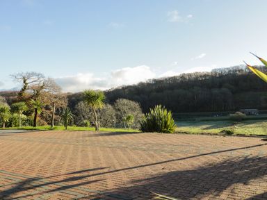 A paved open area with palm trees and bushes in front of a grassy field and wooded hill at Bryn Berthen in Penrhyndeudraeth
