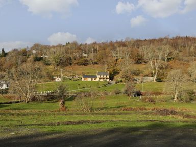A house on a grassy hillside surrounded by trees at Bryn Berthen in Penrhyndeudraeth