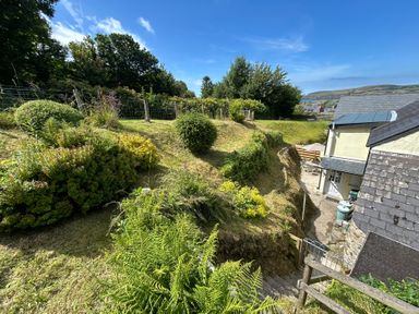 A garden with plants and a house at Delfryn, Newport