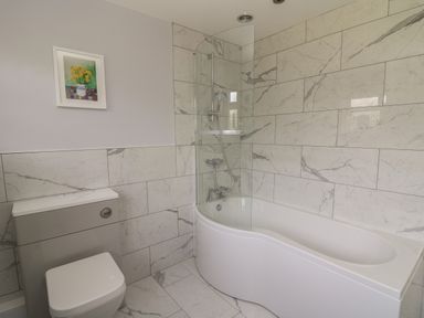 A bathroom with a toilet bathtub shower and a painting on the wall at Erwlon in Rhydyfelin near Aberystwyth