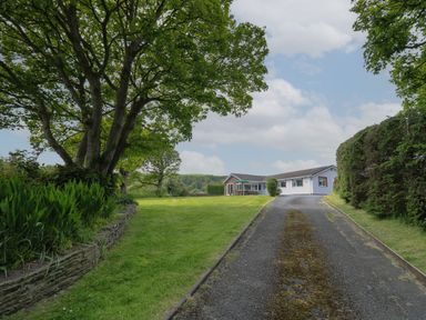 A driveway leading to a single-story house with trees and grass on either side at Erwlon in Rhydyfelin near Aberystwyth