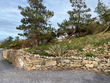 A stone wall with plants and trees behind it at Fron Olau in Nefyn