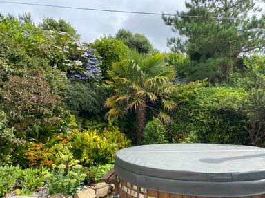 A garden with various plants and a hot tub in the foreground at Fron Olau in Nefyn