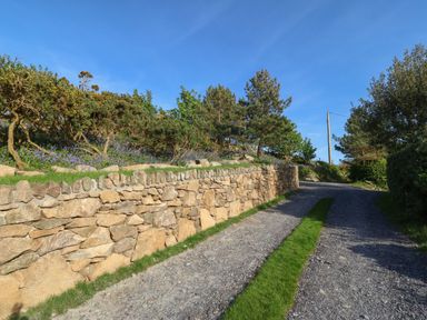 A gravel driveway with a grass strip and a stone wall with trees and bushes at Fron Olau in Nefyn