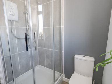 A bathroom with a glass shower enclosure and a white toilet next to a gray wall with a small plant at Lagoon View in Wyke