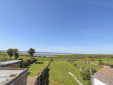 A grassy garden with palm trees and a view of the coast at Lagoon View in Wyke