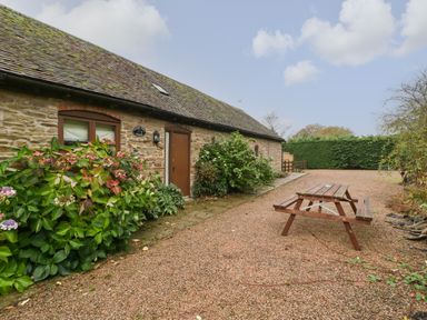 A stone cottage with a wooden door and window surrounded by plants and a picnic table on a gravel path at Clover Patch Cottage Stanford Bishop near Bromyard