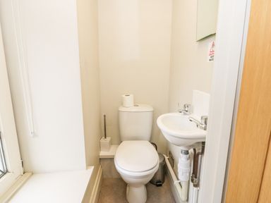 A small bathroom with a toilet a sink a toilet brush and a trash bin at Lakeside Cottage in Llanrug