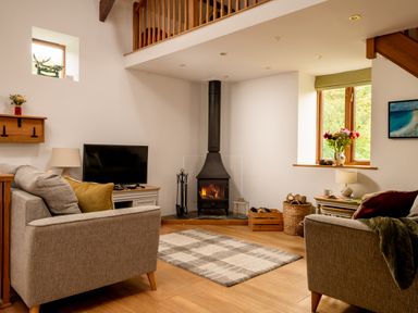 A living room with a fireplace and television at Hoppers Barn Pancrasweek near Holsworthy