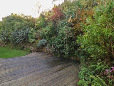 A wooden deck area next to a garden with various green plants and bushes at Hillsview in Combe Martin