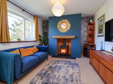 A living room with a fireplace and sofa at Hillsview in Combe Martin