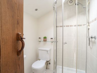 A bathroom with a toilet a glass shelf with two containers and a plant and a corner shower with glass doors at Tir Eironwy in Dinas near Nefyn