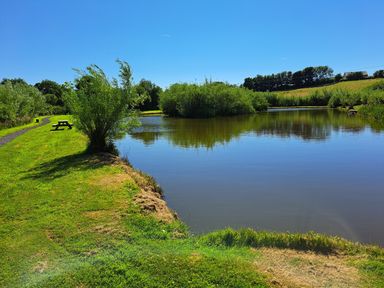 A pond with surrounding grass and bushes and a picnic table near the water at Tir Eironwy in Dinas near Nefyn