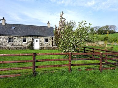A stone cottage with white door and windows next to a flowering tree and wooden fence at Tir Eironwy Dinas near Nefyn