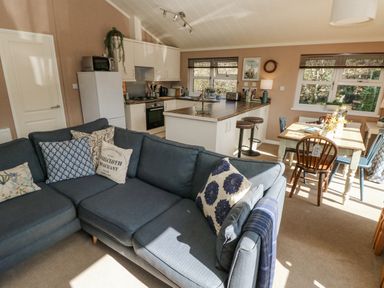 An open plan living room with a blue sofa and cushions a kitchen with white cabinets and appliances and a dining table with mixed chairs at 1 Hornbeam Lodge in Narberth