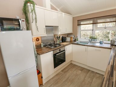 A kitchen with white cabinets a gas stove a microwave a refrigerator and a window with blinds at 1 Hornbeam Lodge in Narberth
