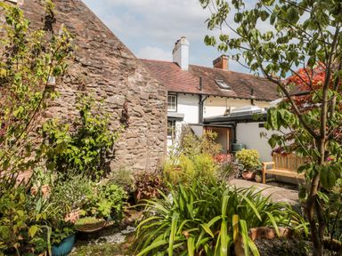 A garden with potted plants green foliage and a wooden bench beside a stone wall and white house at The Pound in Porlock