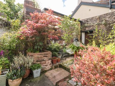 A small garden area with potted plants and trees surrounded by stone walls at The Pound in Porlock