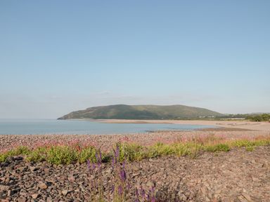 A rocky beach with wildflowers by calm water and hills in the background at The Pound in Porlock
