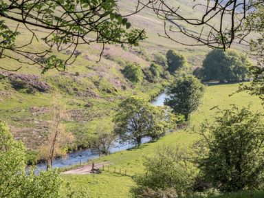 A river running through grassy fields with trees along the banks and a path next to the river at The Pound in Porlock