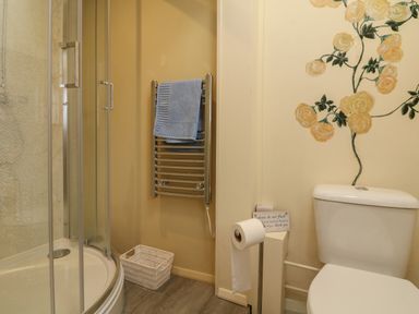 A bathroom with a curved glass shower, a chrome towel rack with a blue towel, a white toilet, a toilet roll holder, and a wall with painted yellow flowers at The Pound in Porlock