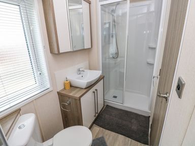 A bathroom with a toilet sink mirror cabinet and shower at Seahorse Retreat in Little Haven near Broad Haven
