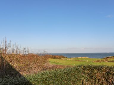 A landscape with green fields bushes and the sea in the background at Haulfryn in Moelfre