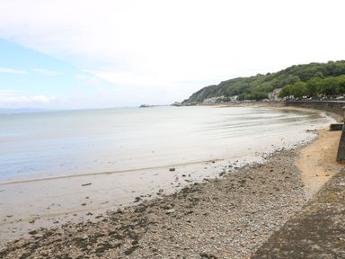 A coastal beach with a rocky shoreline and calm sea water near a green hill and residential area at 30 Long Shepherds Drive in Newton near The Mumbles