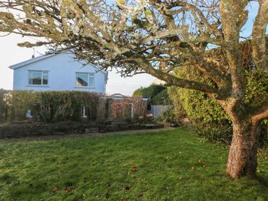 A garden with a large tree and a grassy lawn in front of a white house at 30 Long Shepherds Drive Newton near The Mumbles