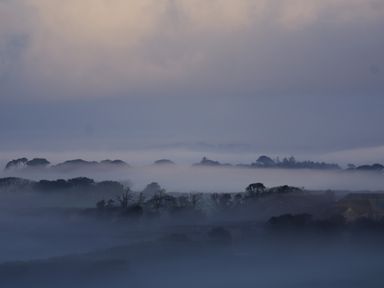 A landscape with hills and trees covered in fog under a cloudy sky