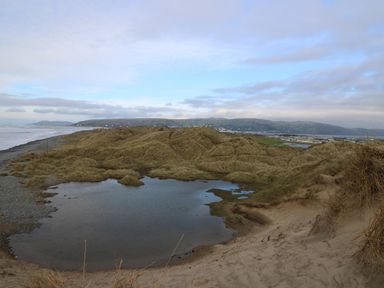 A coastal landscape with sand dunes, a water pool, and a view of hills and buildings in the distance at Gwent 74 in Borth
