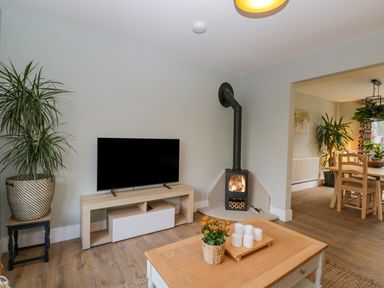 A living room with a television on a wooden stand a fireplace and plants at Birch House in Corsham