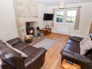 A living room with a fireplace and sofas at Pippin in Lucker