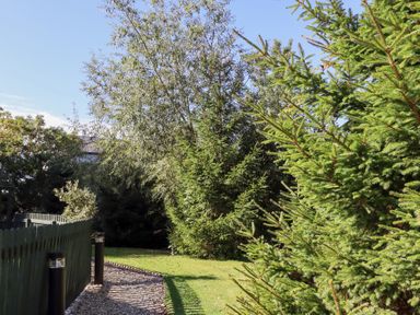 A garden with trees and a gravel pathway at Pippin Lucker