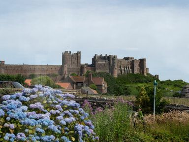 A castle on a hill with houses and flowers in the foreground at Castle View Bamburgh