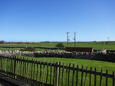 A green field with sheep stone walls wooden fence and electrical poles at Castle View Bamburgh