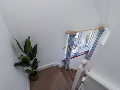 A staircase with brown carpet a potted plant near the wall and a window with blue curtains at St Marys Cottages No1 in Low Newton-by-the-Sea