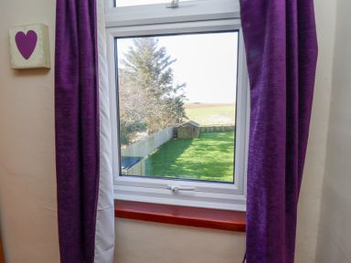 A window with purple curtains showing a green backyard with a shed and trees at St Marys Cottages No1 in Low Newton-by-the-Sea
