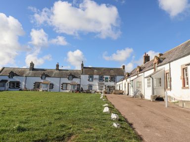 A row of white cottages with a grassy area and pathway under a blue sky at St Marys Cottages No1 in Low Newton-by-the-Sea