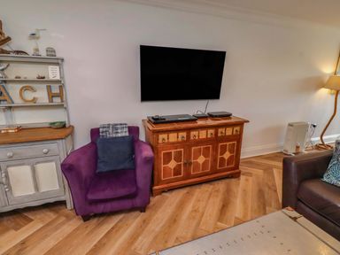 A living room with a purple armchair and a television at Farne Cottage Beadnell