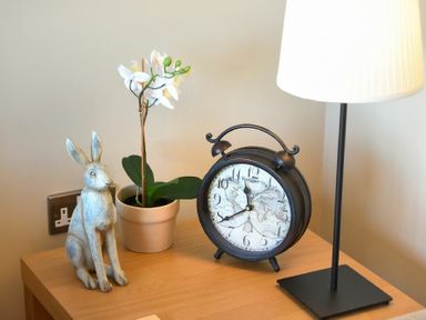 A table with a rabbit figurine a potted plant a clock and a lamp at The Pepper Pot in Warkworth