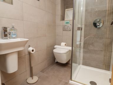 A bathroom with a wall-mounted toilet a sink with hand soap a floor-standing toilet paper holder and a glass-enclosed shower at The Mustard Pot in Acklington