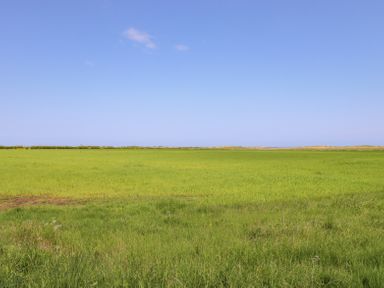 An open green field under a clear blue sky at The Mustard Pot in Acklington