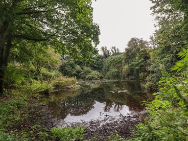A small pond surrounded by trees and dense greenery at Quarry Haven in Bamburgh