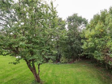 A grassy backyard area with multiple leafy trees and shrubs